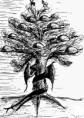 /album/yggdrasil/yggdrasil-by-david-png/